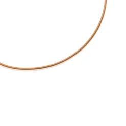 Collar de acero IP naranja 2 mm Mesh Tube
