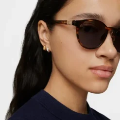 Gafas de sol havana TOUS Bold Bear