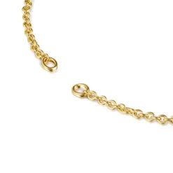 Gargantilla con baño de oro 18 kt sobre plata Hold
